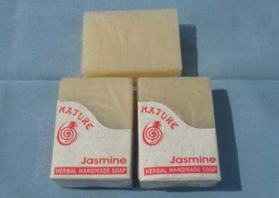 ANS-1002-Jasmine